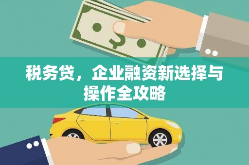 南平税务贷，企业融资新选择与操作全攻略