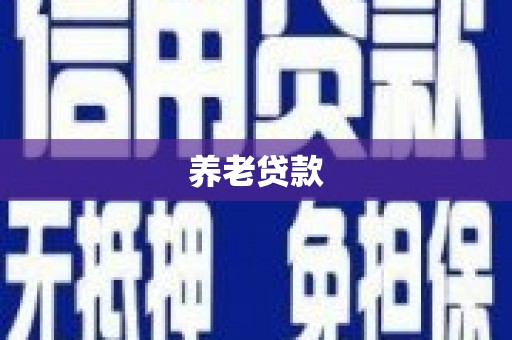 南平养老贷款