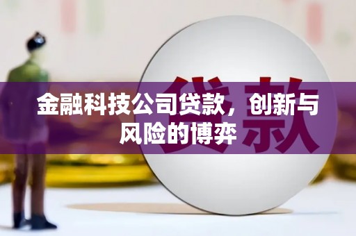 南平金融科技公司贷款，创新与风险的博弈