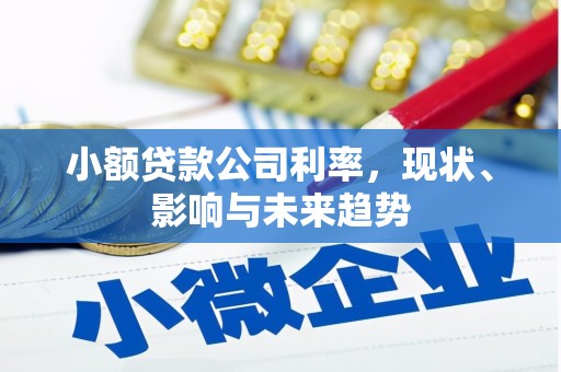 南平小额贷款公司利率，现状、影响与未来趋势