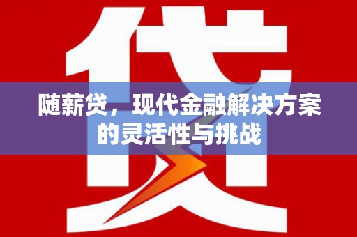 南平随薪贷，现代金融解决方案的灵活性与挑战