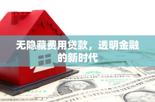 南平无隐藏费用贷款，透明金融的新时代