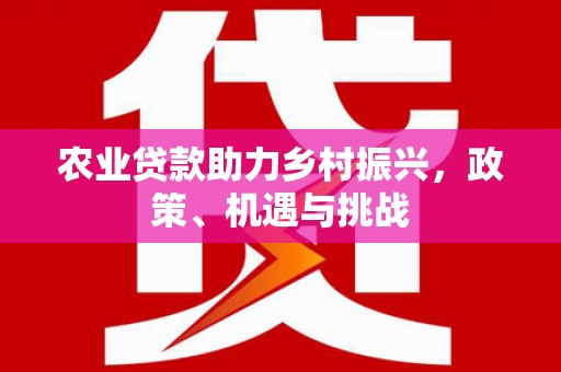 南平农业贷款助力乡村振兴，政策、机遇与挑战