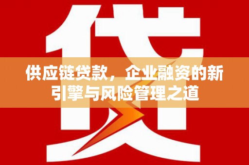南平供应链贷款，企业融资的新引擎与风险管理之道