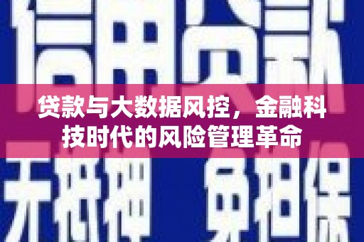 南平贷款与大数据风控，金融科技时代的风险管理革命