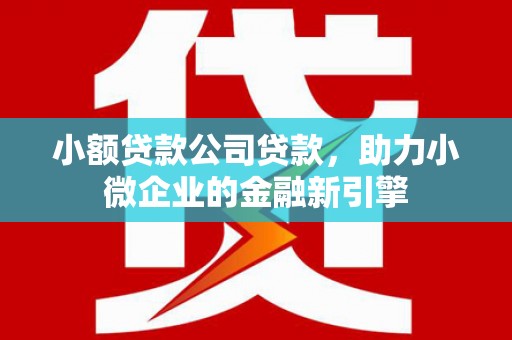 南平小额贷款公司贷款，助力小微企业的金融新引擎