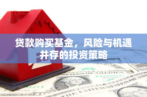南平贷款购买基金，风险与机遇并存的投资策略