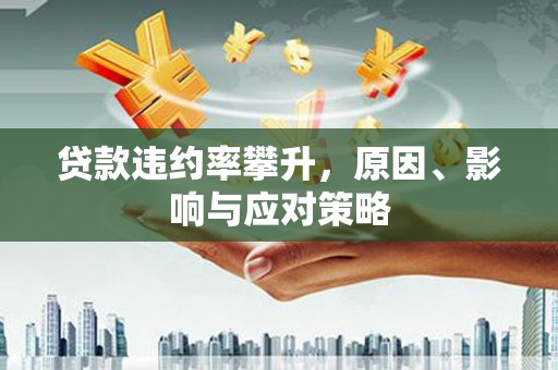 南平贷款违约率攀升，原因、影响与应对策略