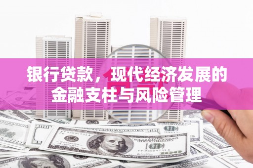 南平银行贷款，现代经济发展的金融支柱与风险管理