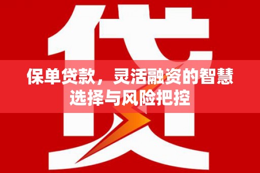 南平保单贷款，灵活融资的智慧选择与风险把控