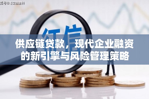 南平供应链贷款，现代企业融资的新引擎与风险管理策略