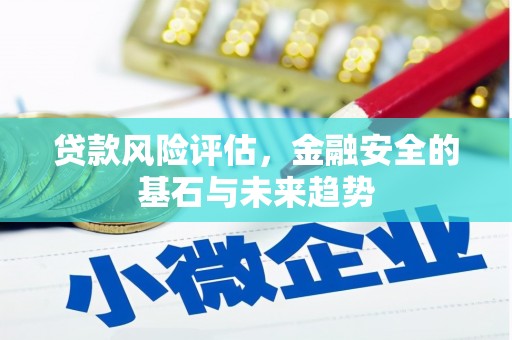 南平贷款风险评估，金融安全的基石与未来趋势