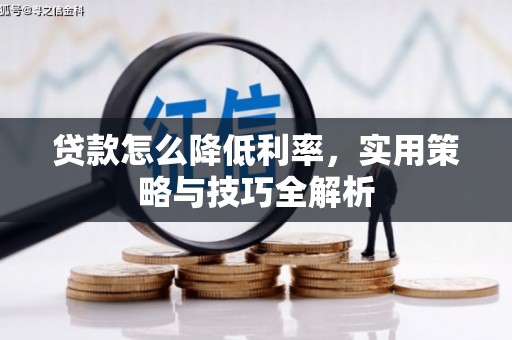 南平贷款怎么降低利率，实用策略与技巧全解析