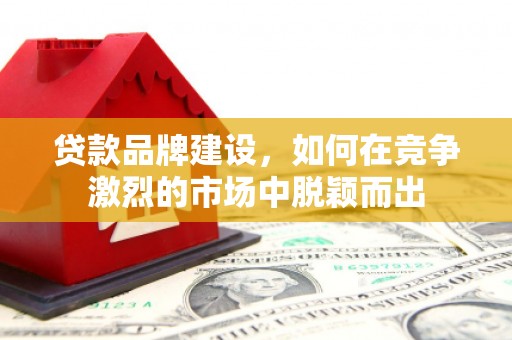 南平贷款品牌建设，如何在竞争激烈的市场中脱颖而出