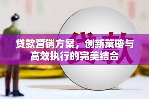 南平贷款营销方案，创新策略与高效执行的完美结合