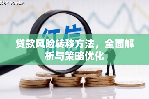 南平贷款风险转移方法，全面解析与策略优化