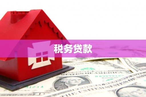 南平税务贷款
