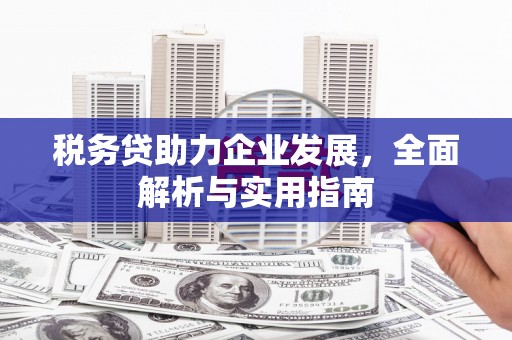 南平税务贷助力企业发展，全面解析与实用指南