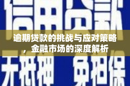 南平逾期贷款的挑战与应对策略，金融市场的深度解析