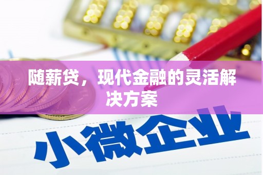 南平随薪贷，现代金融的灵活解决方案