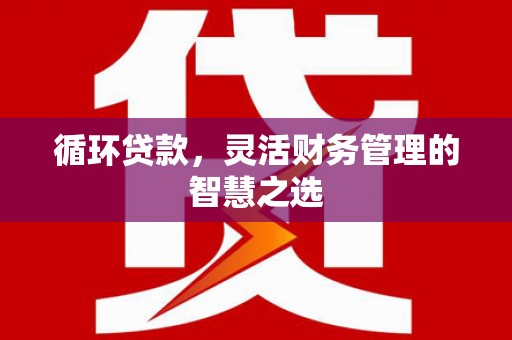 南平循环贷款，灵活财务管理的智慧之选