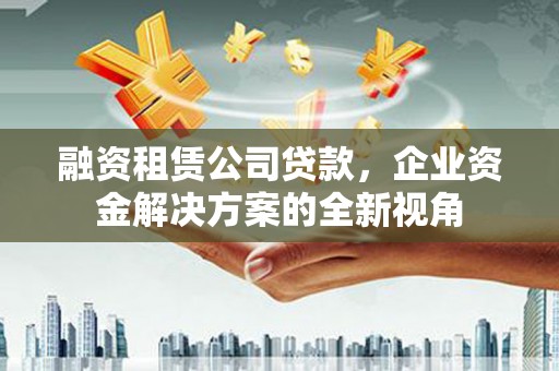 南平融资租赁公司贷款，企业资金解决方案的全新视角