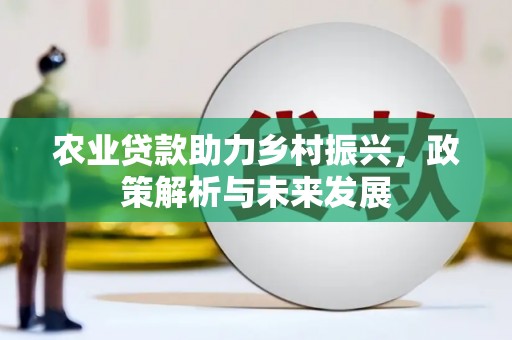 南平农业贷款助力乡村振兴，政策解析与未来发展