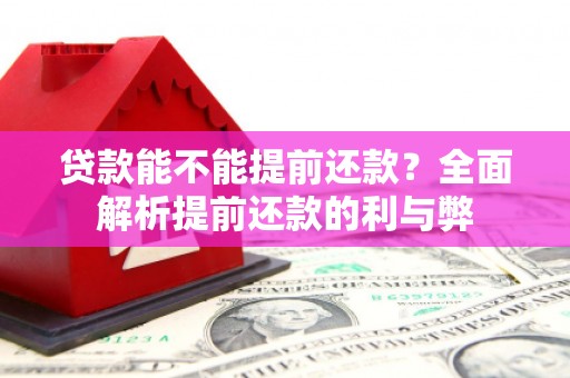 南平贷款能不能提前还款？全面解析提前还款的利与弊