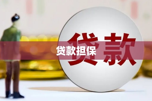 南平贷款担保