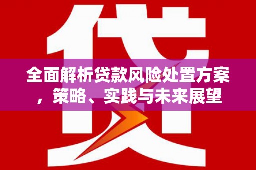 南平全面解析贷款风险处置方案，策略、实践与未来展望