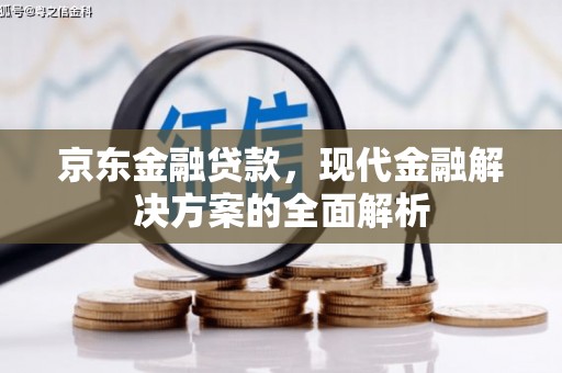 南平京东金融贷款，现代金融解决方案的全面解析