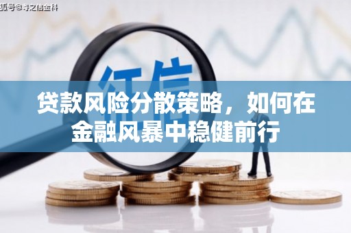 南平贷款风险分散策略，如何在金融风暴中稳健前行