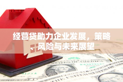 南平经营贷助力企业发展，策略、风险与未来展望