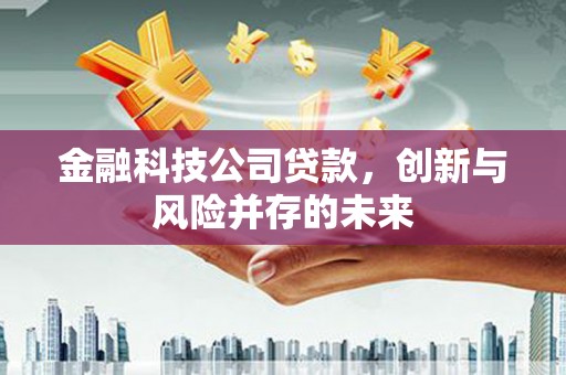 南平金融科技公司贷款，创新与风险并存的未来