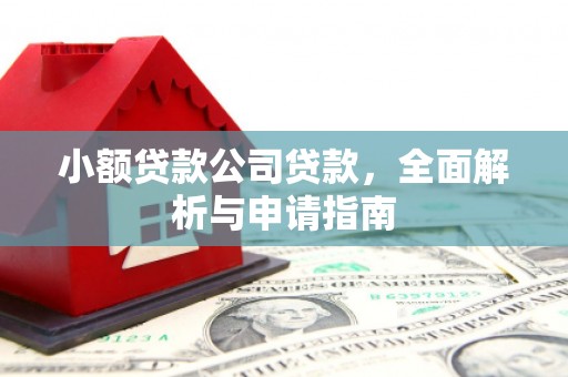 南平小额贷款公司贷款，全面解析与申请指南