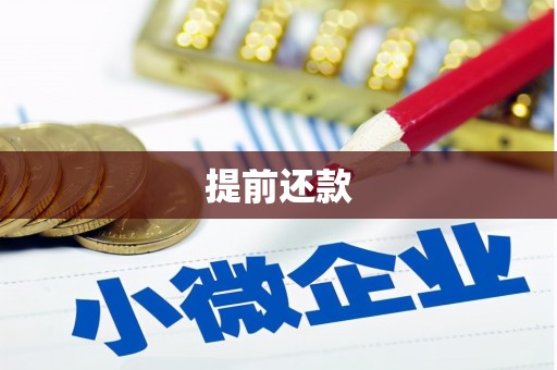 南平提前还款
