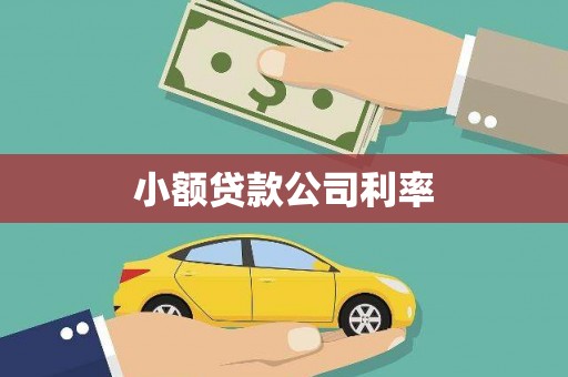 南平小额贷款公司利率