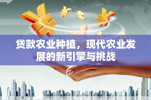南平贷款农业种植，现代农业发展的新引擎与挑战