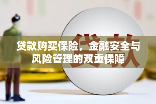 南平贷款购买保险，金融安全与风险管理的双重保障