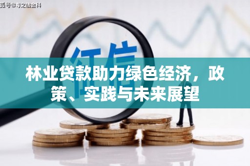 南平林业贷款助力绿色经济，政策、实践与未来展望