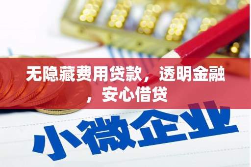 南平无隐藏费用贷款，透明金融，安心借贷