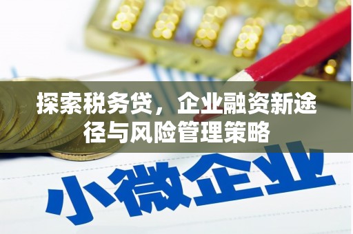 南平探索税务贷，企业融资新途径与风险管理策略