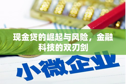 南平现金贷的崛起与风险，金融科技的双刃剑