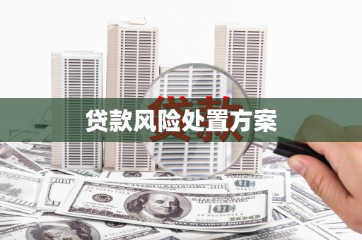 南平贷款风险处置方案