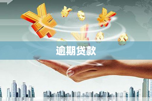 南平逾期贷款