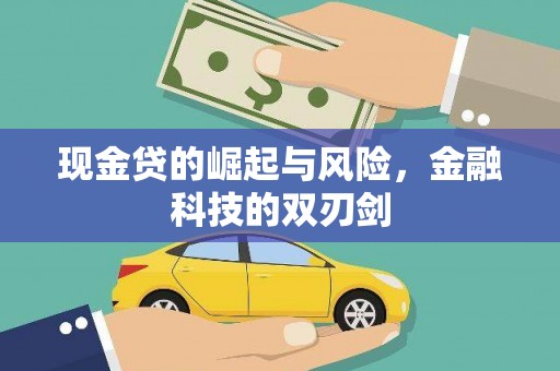 南平现金贷的崛起与风险，金融科技的双刃剑