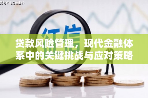 南平贷款风险管理，现代金融体系中的关键挑战与应对策略