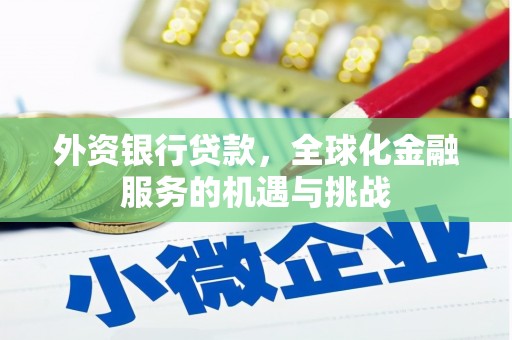 南平外资银行贷款，全球化金融服务的机遇与挑战