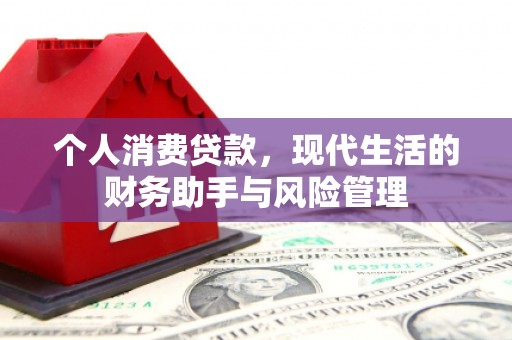 南平个人消费贷款，现代生活的财务助手与风险管理
