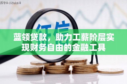 南平蓝领贷款，助力工薪阶层实现财务自由的金融工具